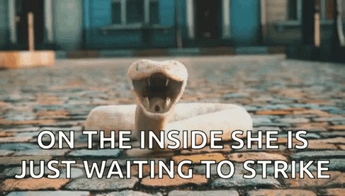 Snakes On A Plane Waiting To Strikes GIF