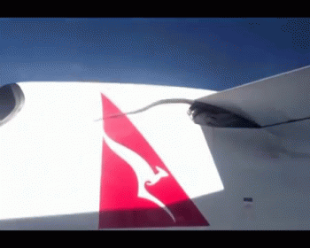 Snakes On A Plane Wing GIF