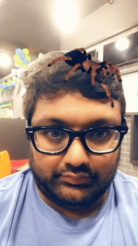 Snapchat Spider Filter GIF