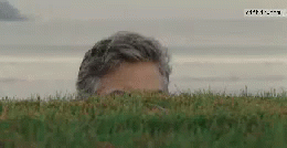 Sneaking 260 X 134 Gif GIF