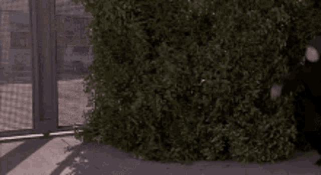 Sneaky Ninja Moves GIF