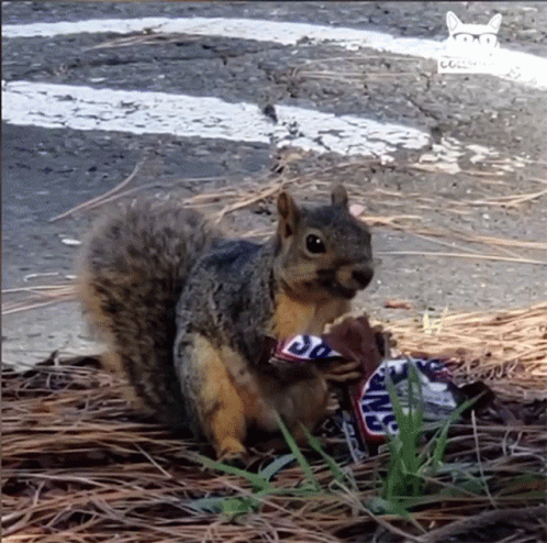 Snickers Ad Man in Helmet