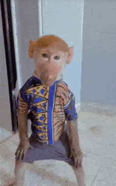 Sniffer Monkey Gif GIF