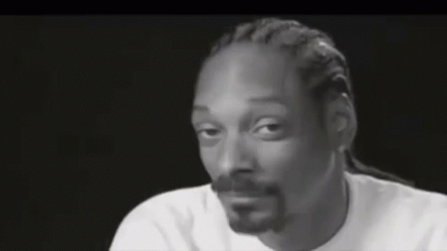 Snoop Dogg To Be Continued GIF