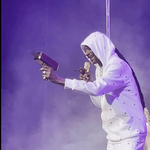 Snoop Dogg High Roller Money Meme GIF