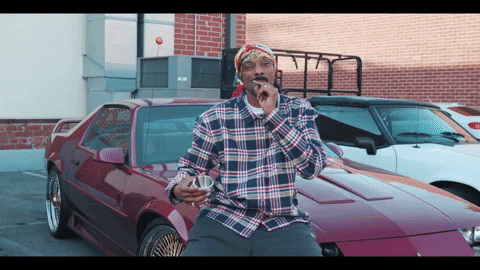 Snoop Dogg Smoking In Car Shop GIF