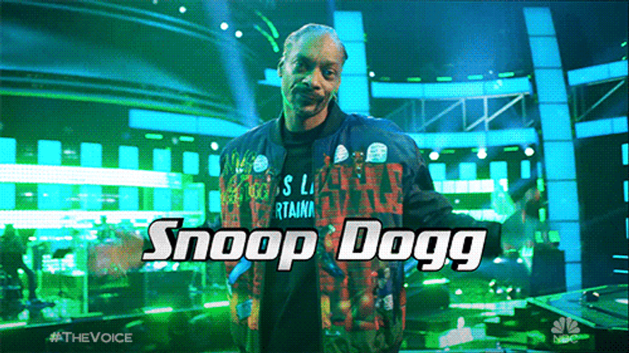 Snoop Dogg Who GIF