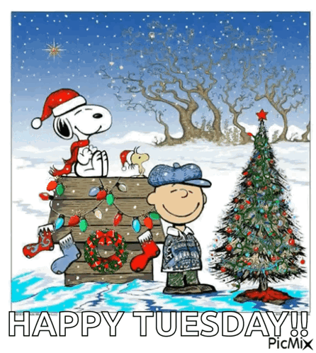 Snoopy And Charlie Brown Are Decorating A Christmas Tree GIF