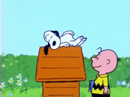 Snoopy And Charlie Brown Are Standing Next To A Doghouse GIF