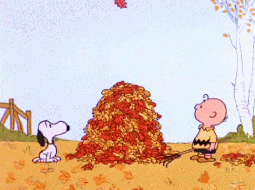 Snoopy And Charlie Brown Raking Leaves GIF