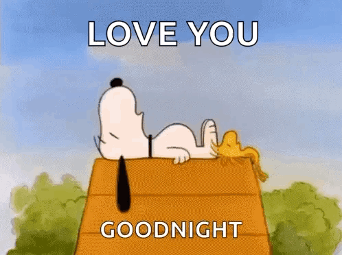 Snoopy And Woodstock Are Laying On Top Of A Wooden House And Saying `` I Love You Goodnight '' . GIF