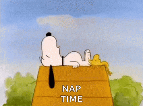 Snoopy And Woodstock Are Laying On Top Of A Wooden House With The Words `` Nap Time '' Written On It . GIF