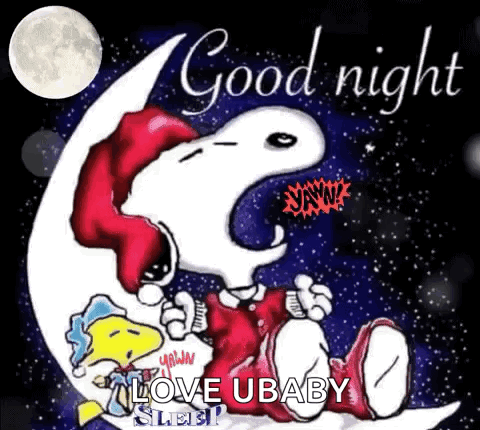 Snoopy And Woodstock Are Sitting On A Crescent Moon And Saying `` Good Night '' . GIF