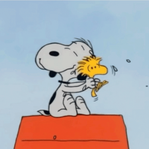 Snoopy And Woodstock Are Sitting On A Red Box GIF