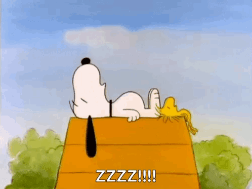 Snoopy And Woodstock Are Sleeping On The Roof Of Their Doghouse . GIF