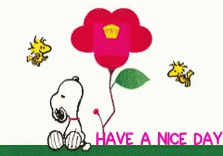 Snoopy And Woodstock Holding Flower Saying Have A Nice Day GIF