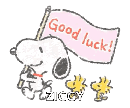 Snoopy and Woodstock Holding Good Luck Ziggy Flag