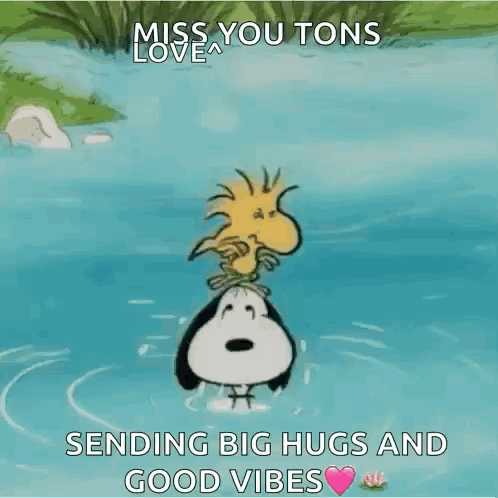 Snoopy And Woodstock In Water Miss You Tons GIF