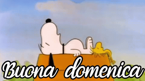 Snoopy And Woodstock Laying On Box Buona Domenica GIF