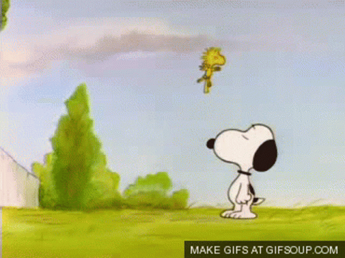 Snoopy And Woodstock Looking At Each Other Make Gifs At Gifsoup.com GIF