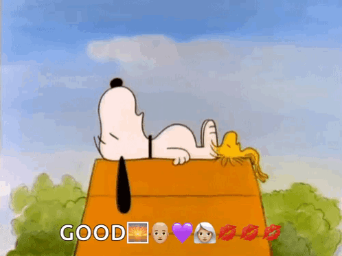 Snoopy and Woodstock on Good House