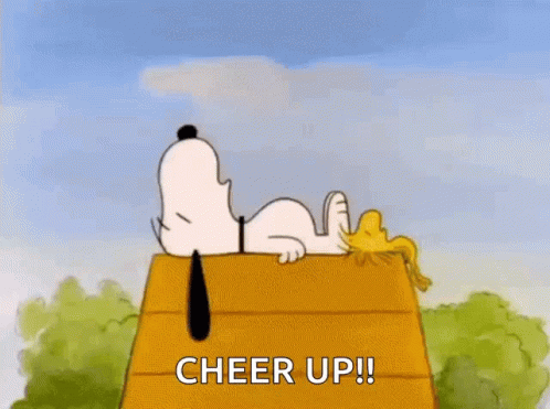 Snoopy And Woodstock On Wooden House Cheer Up GIF