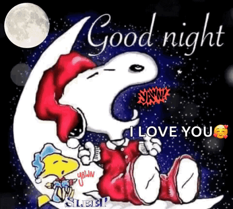 Snoopy and Woodstock Saying Good Night