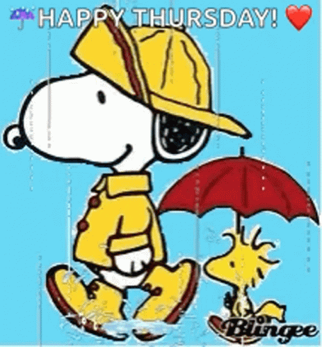 Snoopy and Woodstock Walking in Rain