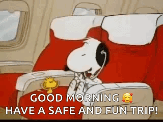 Snoopy and Woodstock Wishing Safe Fun Trip