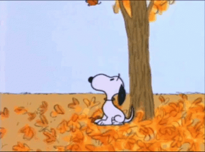 Snoopy Blowing Leaf During Fall GIF