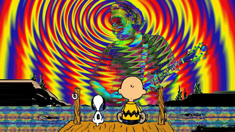 Snoopy Charlie Brown Watching Grateful Dead Jerry Garcia GIF