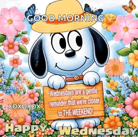 Snoopy Happy Wednesday GIF