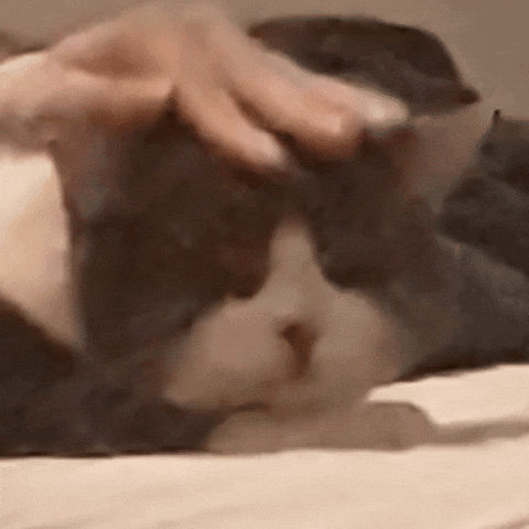 Snoopy Holding Heart Good Morning You Are Beautiful GIF