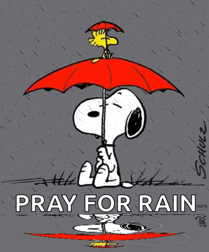 Snoopy Holding Red Umbrella Pray for Rain