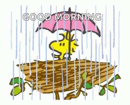 Snoopy Holding Umbrella in Rain