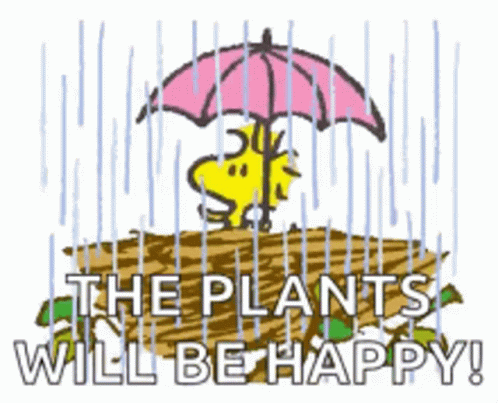 Snoopy Holding Umbrella Over Dirt