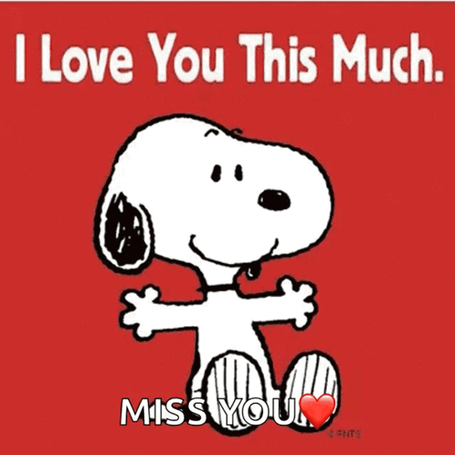 Snoopy Hugging I Love You This Much Miss You