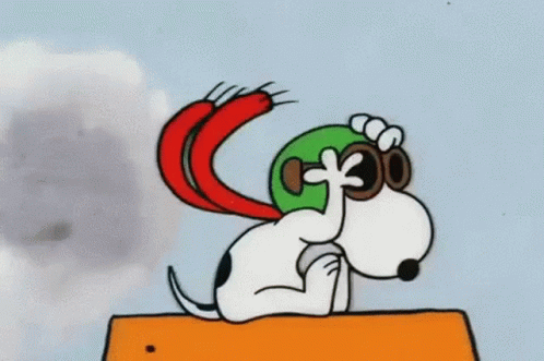 Snoopy In Helmet And Scarf On Snoopy Plane GIF