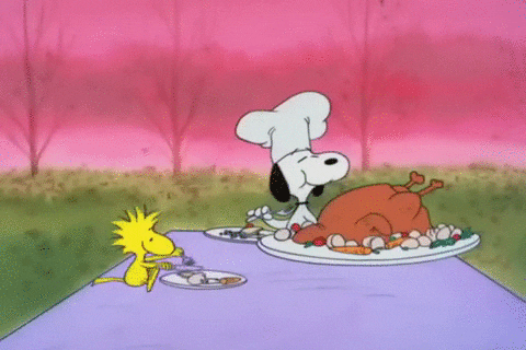 Snoopy In Picnic With Turkey Dinner GIF
