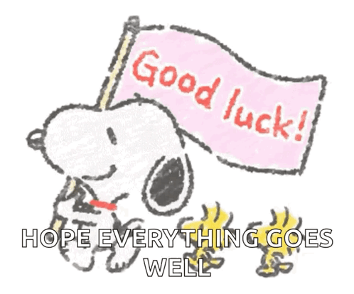 Snoopy Is Holding A Flag That Says Good Luck GIF