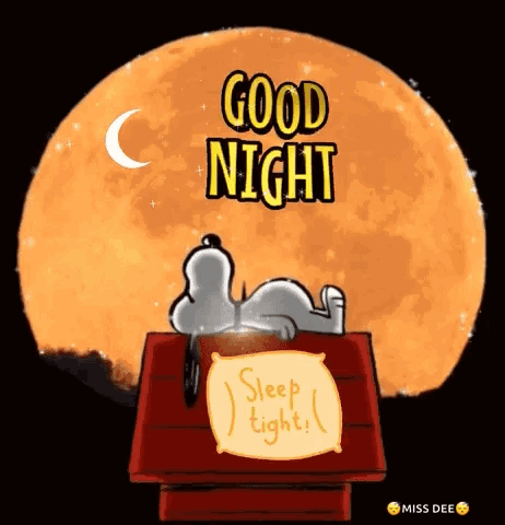 Snoopy Is Laying On Top Of A Wooden House In Front Of A Full Moon With The Words `` Good Night Sleep Tight '' . GIF