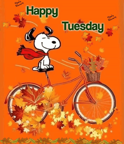 Snoopy Is Riding A Bicycle With A Basket Full Of Leaves And The Words Happy Tuesday GIF