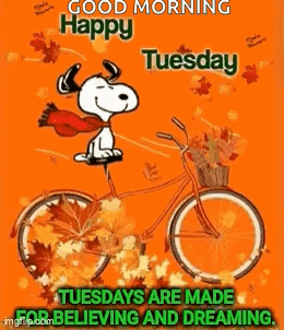 Snoopy Is Riding A Bicycle With A Basket Full Of Leaves On It . GIF