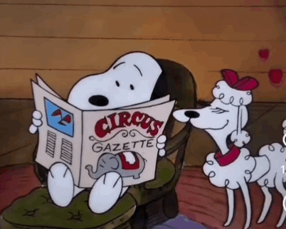 Snoopy Is Sitting In A Chair Reading A Newspaper Titled Circus Gazette GIF