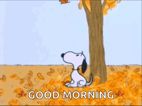 Snoopy Is Sitting Under A Tree In A Field Of Leaves Looking Up At A Leaf . GIF