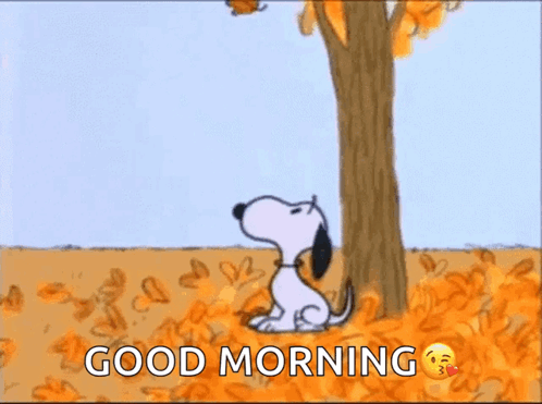 Snoopy Is Sitting Under A Tree Looking At A Bird Feeder With Leaves On It . GIF
