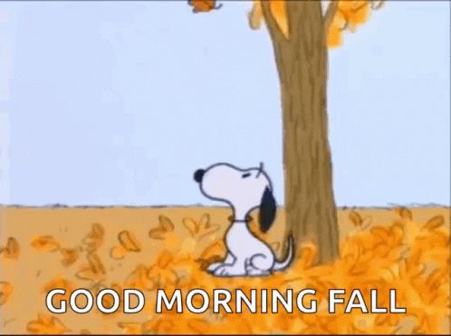 Snoopy Is Sitting Under A Tree Looking Up At A Leaf Hanging From It . GIF