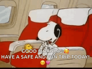 Snoopy Is Sleeping On A Plane With Woodstock And Wishing A Safe And Fun Trip Today . GIF