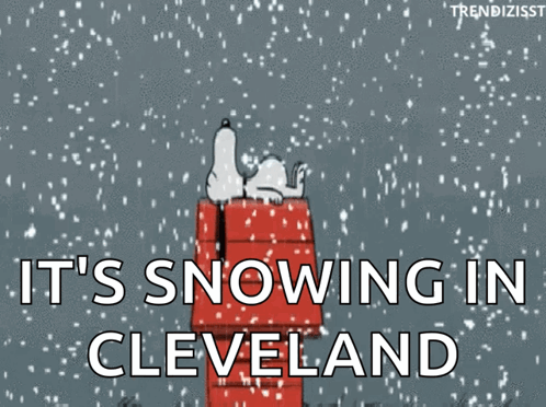 Snoopy Laying Doghouse Saying It's Snowing in Cleveland