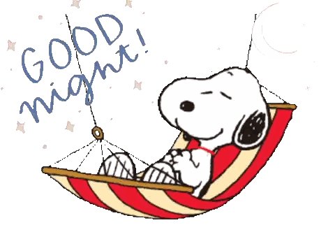 Snoopy Laying in Hammock Good Night